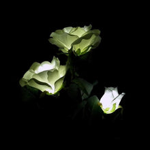 Load image into Gallery viewer, White Rose Solar Night Light