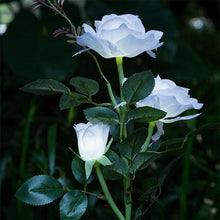 Load image into Gallery viewer, White Rose Solar Night Light