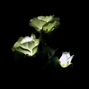 White Rose Solar Night Light