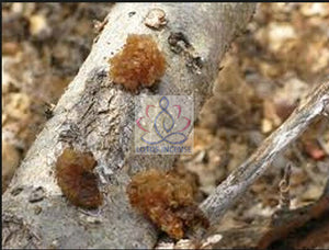 Organic Ethiopian Myrrh Resin