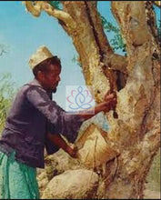 Load image into Gallery viewer, Organic Ethiopian Myrrh Resin