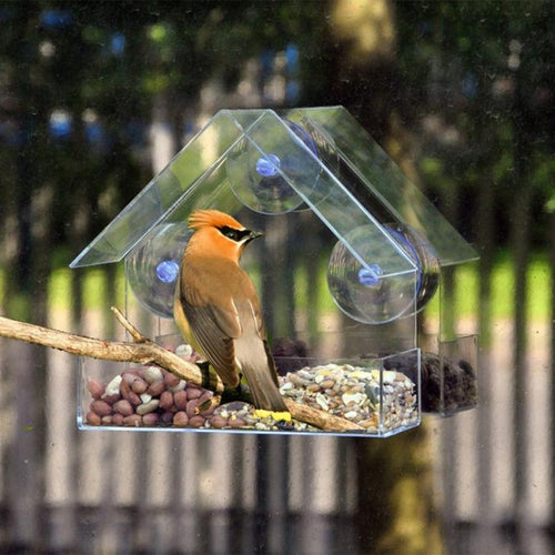 Transparent Window Bird Feeder
