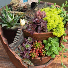 Load image into Gallery viewer, Tiny Cottage Flowerpot Micro Landscape Succulent Planter
