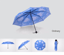 Load image into Gallery viewer, Nothing But Blue Skies Umbrella (plain style)