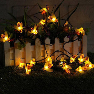 Glowing Bee Solar String Fairy Lights 20 or 50 LED